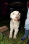 Thumbs/tn_Beautiful Budel 2019 113.jpg